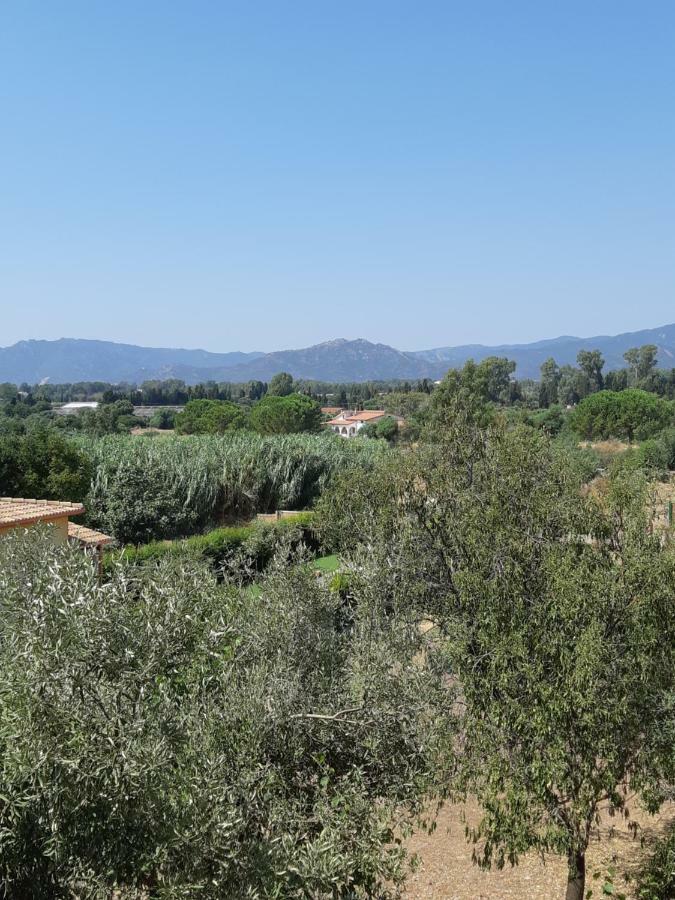 Вілла Sa Caladroxa Villa San Pietro Екстер'єр фото